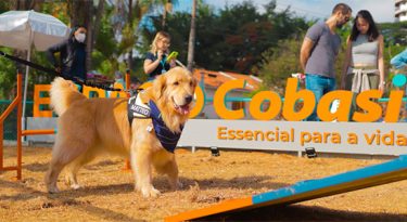 Cobasi e Trisul estreiam cobranding para a criação de Pet Parks