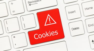 Fim dos cookies de terceiros: perspectivas e alternativas