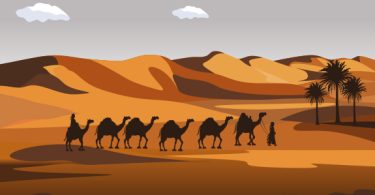 Zoo da inovação: O que é uma startup Camelo?