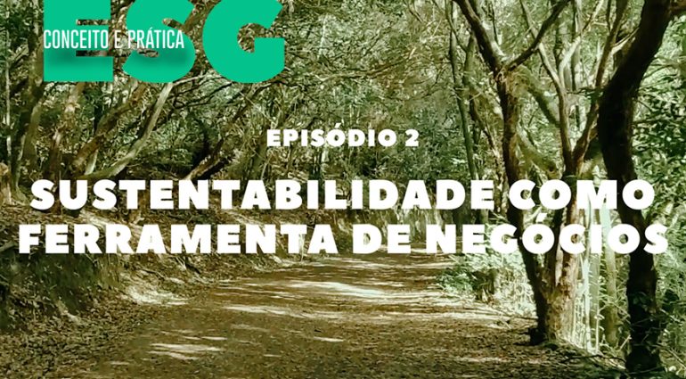 Sustentabilidade: uma ferramenta de negócios