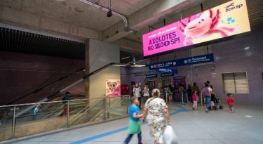 JCDecaux garante patrocínio em pacote para Copa do Mundo