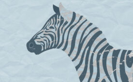 Zoo da Inovação I EP 4: Zebra