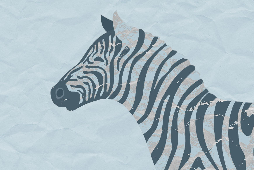 zebra