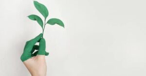 Quais são as consequências do greenwashing?