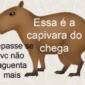 Essa é a capivara do Chega…. Repasse se você não aguenta mais