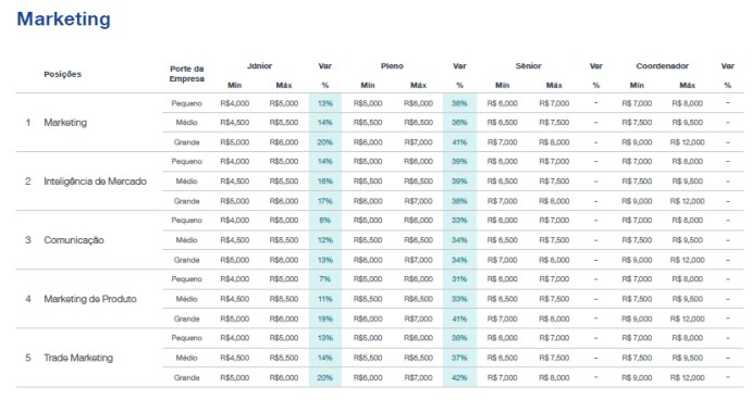 Estudo de Remuneração Michael Page 2024 