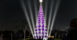 Árvore de Natal do Ibirapuera será roxa e patrocinada pelo Nubank