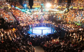 Retorno do UFC para São Paulo é celebrado com ativações para os fãs (Crédito: Cassiano Correia/Adobe Stock)
