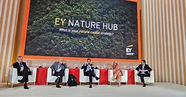 EY lança hub de criação de valor com a natureza na COP28