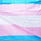 Além do Mês da Visibilidade Trans: representatividade como instrumento de mudança