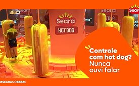 bbb 24 seara