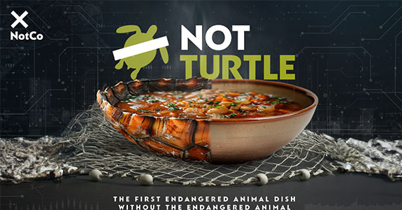 NotCo usa IA para se aproximar do sabor da sopa de tartaruga (Crédito: Divulgação)