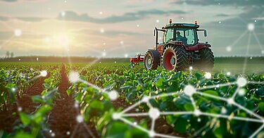 Liga Ventures: agricultura é o setor que mais usa IA