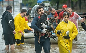 Mais de 10 mil animais já foram resgatados desde a semana passada após fortes chuvas e graves alagamentos no Rio Grande do Sul (Crédito: Jefferson Bernardes/ Divulgação)