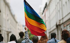 apoio lgbt