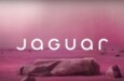 Após rebranding, Jaguar busca nova agência de publicidade