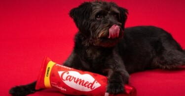 Carmed para cachorro? Cimed fecha collab com a Petlove
