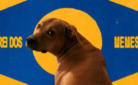 Pedigree lança campanha para reconhecimento e incentivo de adoção do vira-lata caramelo