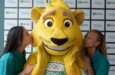 COB e Medley renovam parceria e focam em saúde mental