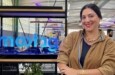 Mootag nomeia executiva de novos negócios