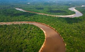 Natura usa drones com inteligência artificial para mapear Amazônia