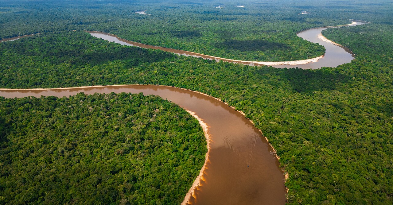 Natura usa drones com inteligência artificial para mapear Amazônia