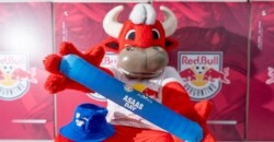 Estruturação e personalização: os efeitos do Red Bull para o Bragantino