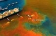 Campanhas da semana: consciência ambiental