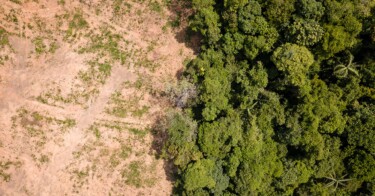 COP30: Tempo de regenerar