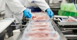 Marfrig e BRF se unem e criam a MBRF Global Foods Company