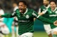 Palmeiras terá casa para torcedores durante a Copa do Mundo de Clubes