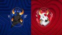 Azul celebra competição entre os bois-bumbás Caprichoso e Garantido