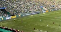 Bet365 e o novo acordo de propriedade com o Allianz Parque