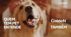 GoldeN aborda situações que só quem tem pet entende