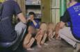 Case brasileiro para o Greenpeace vence o Future Lions
