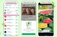 WhatsApp passa a incluir anúncios publicitários no Status