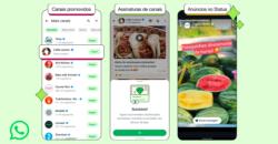 WhatsApp passa a incluir anúncios publicitários no Status