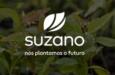 Suzano forma joint-venture global com Kimberly-Clark