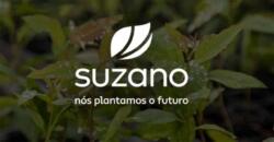 Suzano forma joint-venture global com Kimberly-Clark