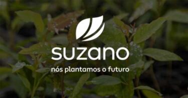 Suzano forma joint-venture global com Kimberly-Clark