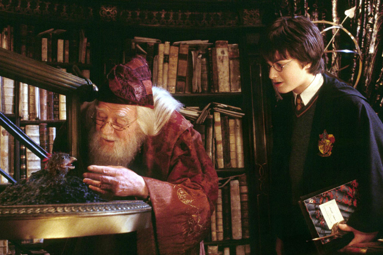 Dumbledore e Harry Potter