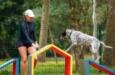 Festival Pet cria experiência para animais e tutores no Parque Ibirapuera
