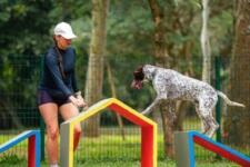 Festival Pet cria experiência para animais e tutores no Parque Ibirapuera