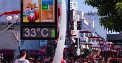ABOOH e Central de Outdoor avaliam flexibilização da Lei Cidade Limpa