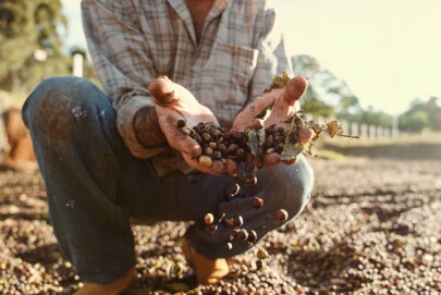 Tarifaço: após redução, entidades pedem mais negociação