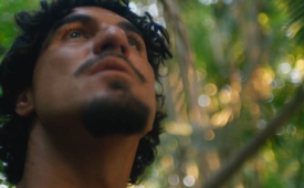 Dia da Amazônia, vivo