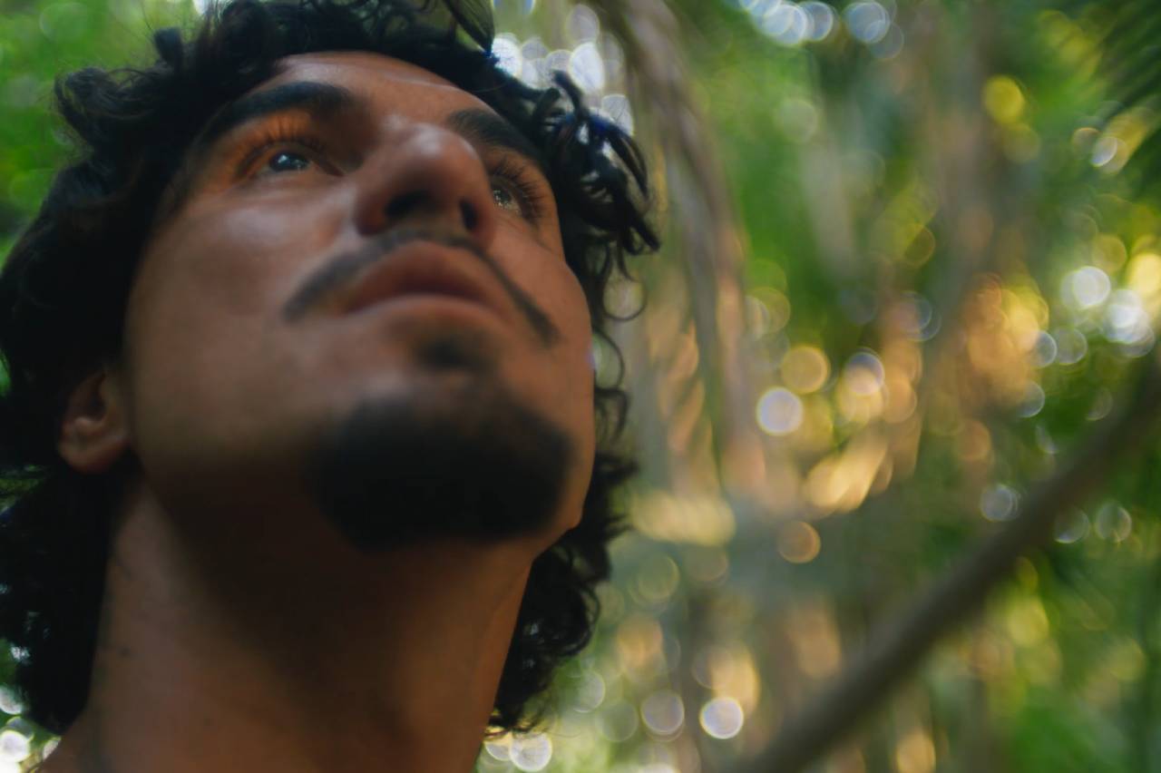 Dia da Amazônia, vivo