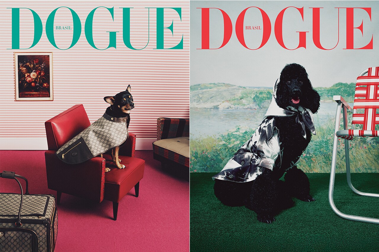 Vogue Brasil lança primeira edição da Dogue