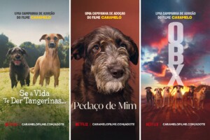 Netflix estimula adoção de cães em campanha (Crédito: Divulgação/Netflix)