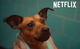 Netflix informou que, na segunda semana desde sua estreia, Caramelo segue entre os quatro filmes mais assistidos no mundo e o primeiro, considerando apenas filmes de língua não-inglesa (Crédito: Reprodução)
